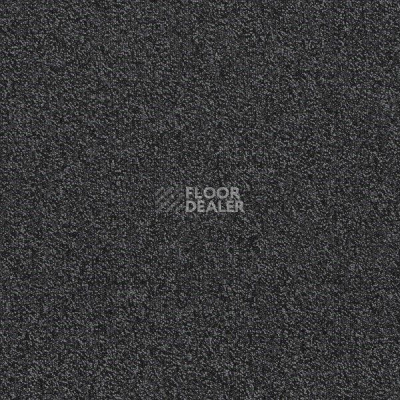 Ковровая плитка Interface Biosfera Boucle 7185 Nero Ebano фото 1 | FLOORDEALER